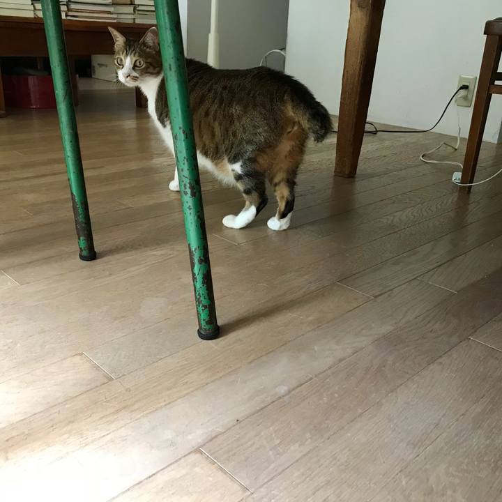 32a0ac34 fc04 4163 a725 7000da70a608 1530781437550