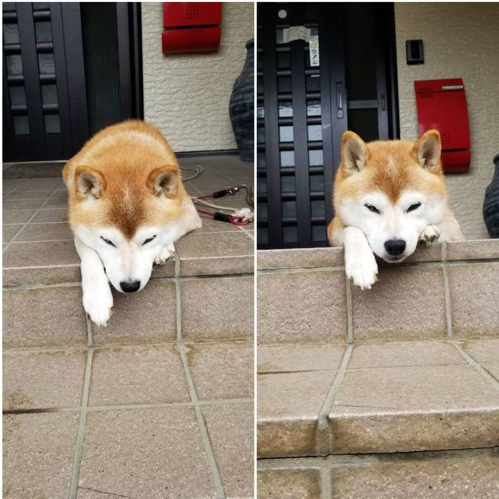 32a0d717 472d 4bcc afae 42aec1127a6d 1662594060225