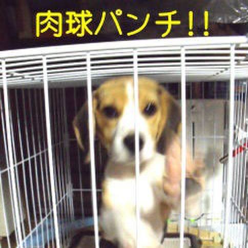 32a11703 1ed3 4e5e 828a fb907e80d2d2 1676419815264