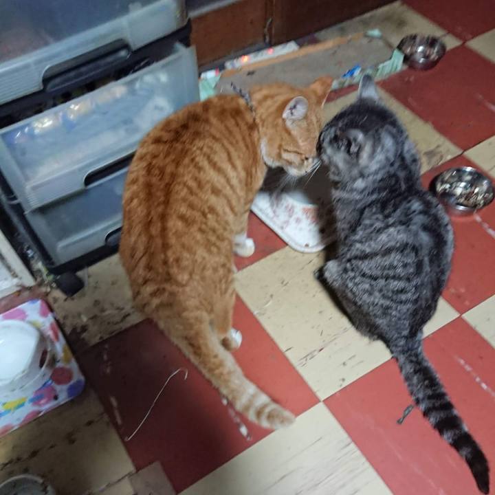 32a123c8 8245 4978 84d3 8674bb4c3c0d 1603313071163