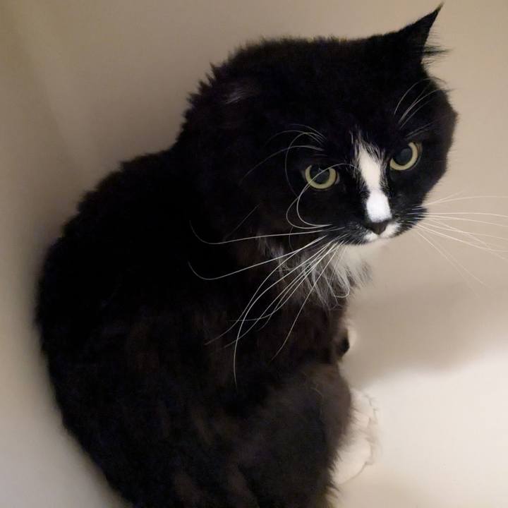 32a15c8c 91a7 4c8b b5f1 5678cccdd021 1745710288393