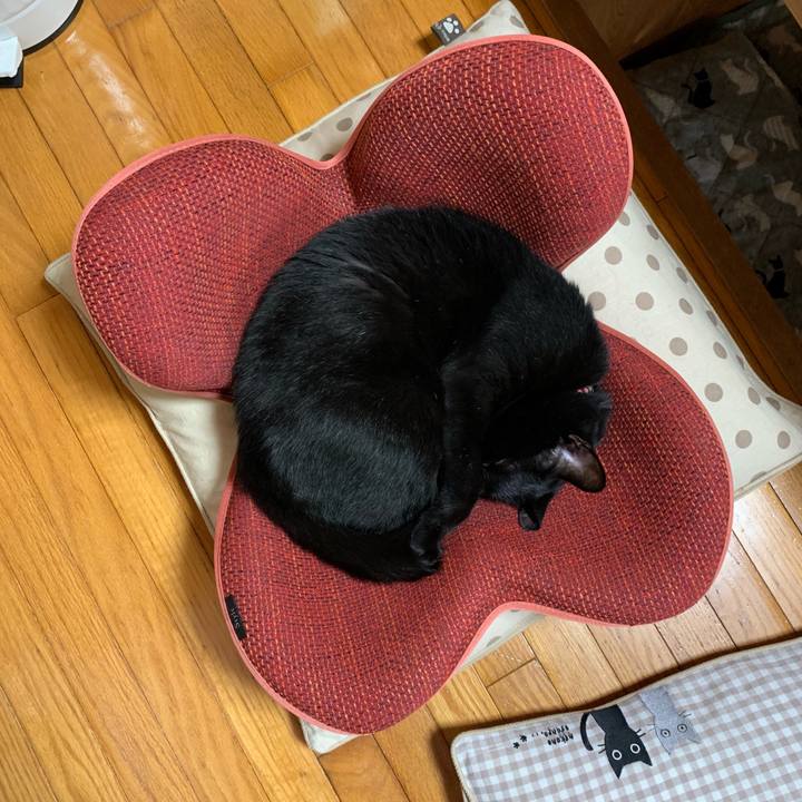 32a18a36 5996 4c10 beb8 e272b0d3d76d 1560215137880