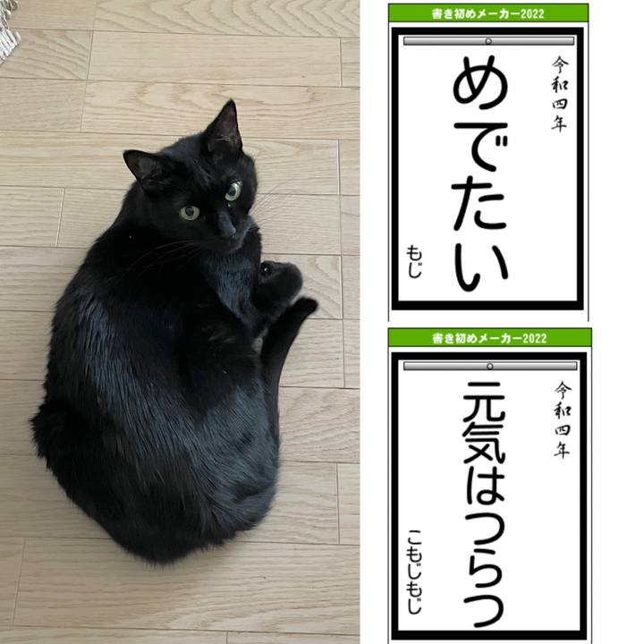 32a1c240 f258 43e8 967e 79f30c9d322e 1641174235795