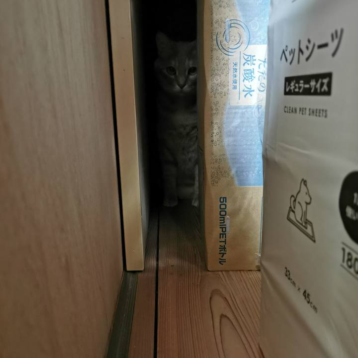 32a1c7b3 db03 4ac2 945c 9cbc9b8f913d 1651032303044