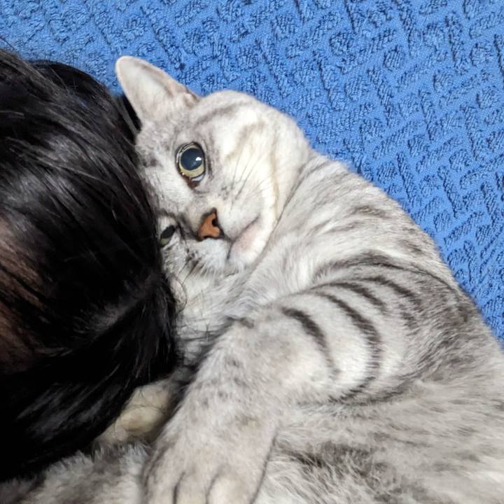 32a21089 d9aa 4581 9bf4 5b3b3f49c006 1695215165537