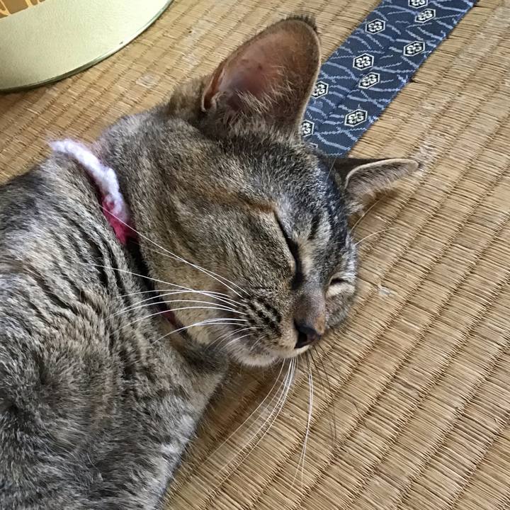 32a21c9e 77e8 4d24 a468 dc2d19160d10 1597206824976