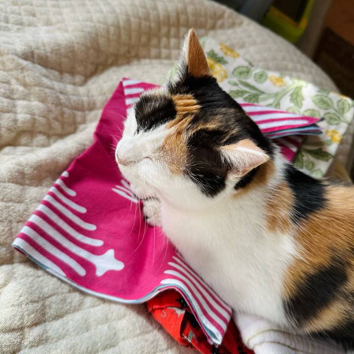 32a2312a 8d7f 40a7 908e 211566d1e8c2 1724895516223