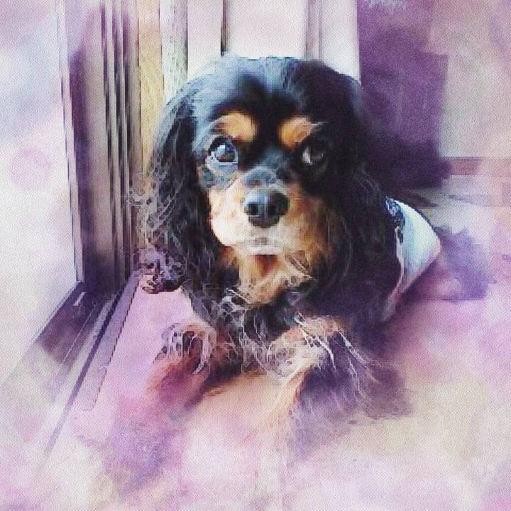 32a2346d 4235 48df b7e4 8457e9f31dfe 1529758183177