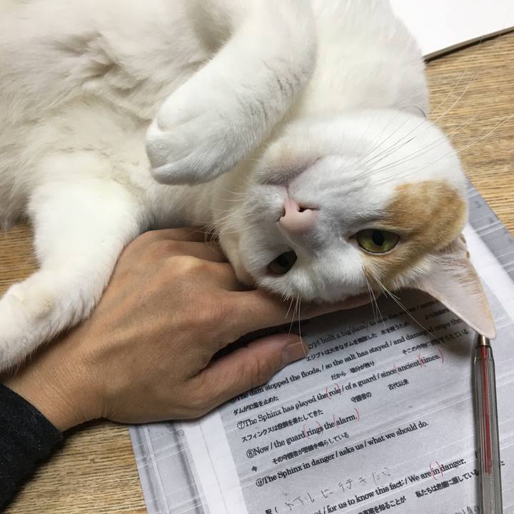 32a28d29 abe6 4c80 af8a c92d1ddc63cb 1511100247532