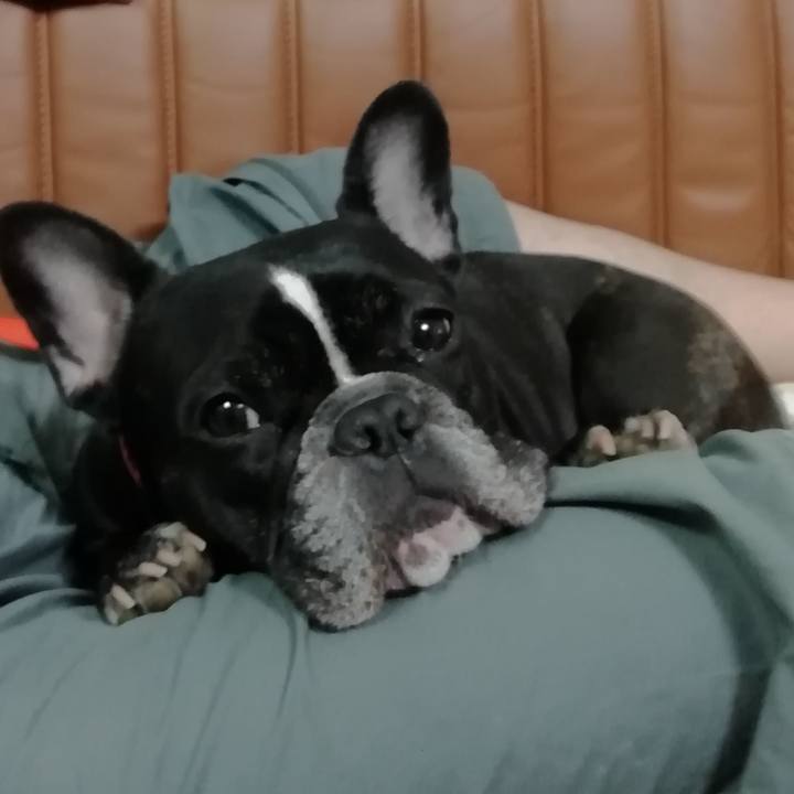 32a2a162 2d94 4c25 83f7 cf37dd71ccd8 1559822015764