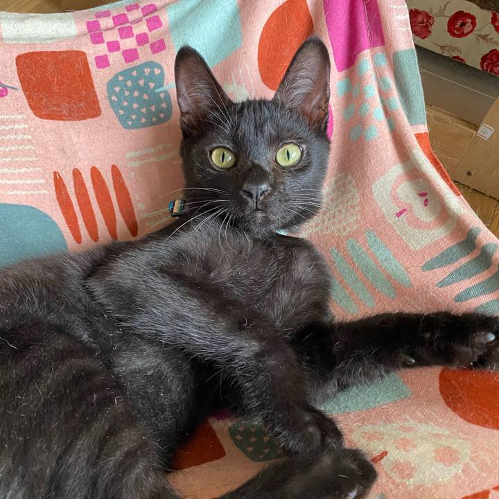 32a2adbf a432 4400 a027 d88d237a72f7 1629852959506