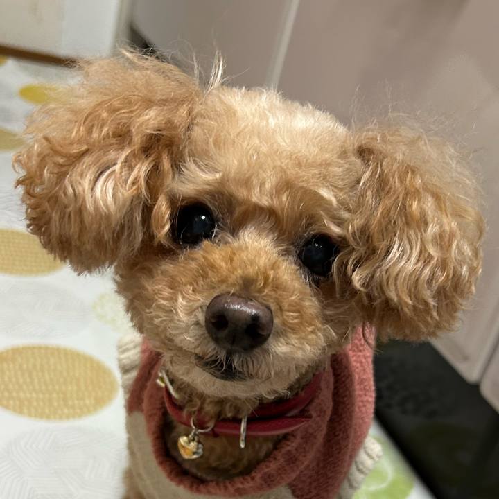 32a2b8ac 7ae5 4922 830b 8023a9c1678b 1763248223338