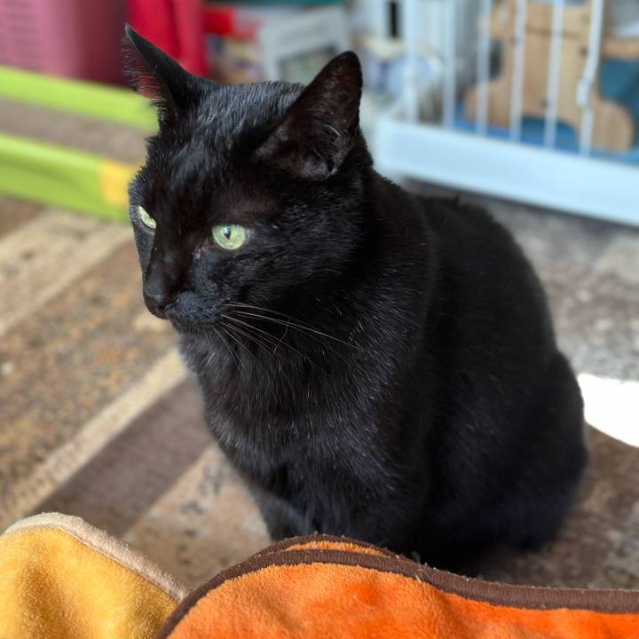 32a2c008 a6fe 4703 b74b 7f4c77985a17 1667873144461