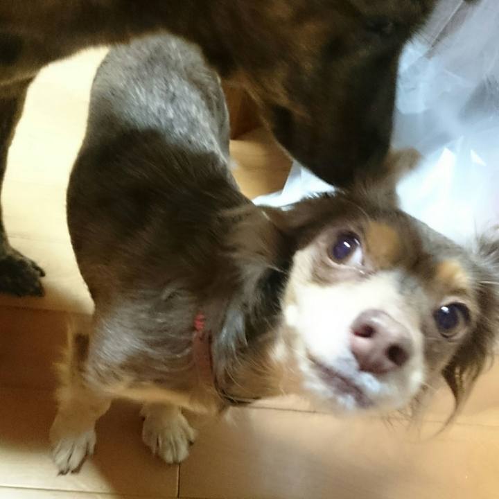 32a2c63c ef4e 4e6b 8792 d70d31c09eba 1512768664114