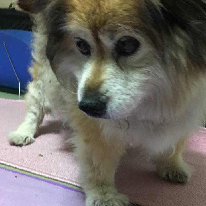 32a2e893 98ee 4936 9f3b fbfe3df2ff8d 1577746571960