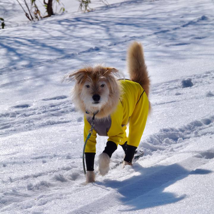 32a2f478 46c8 42b9 acec aced74e94d75 1613922875313