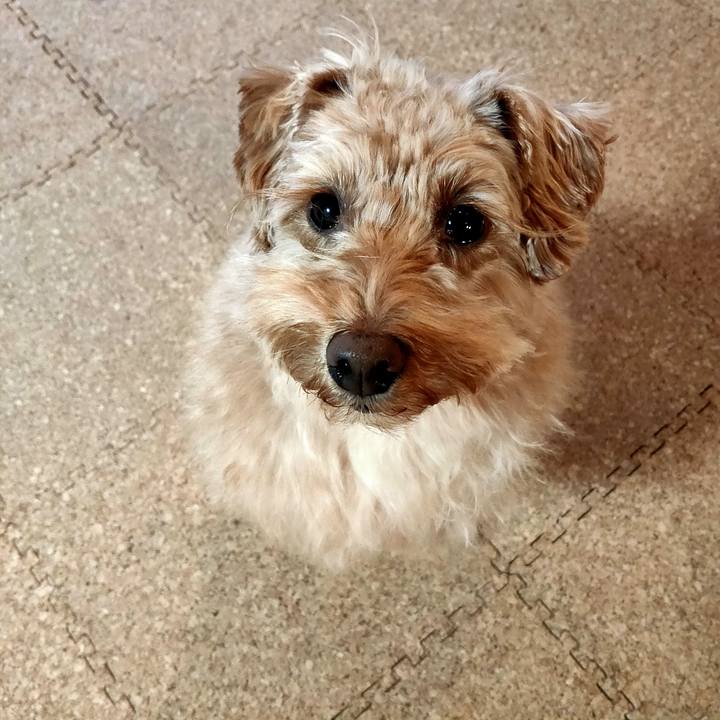 32a31210 3805 46d2 8c10 5fe539249d64 1609053013793