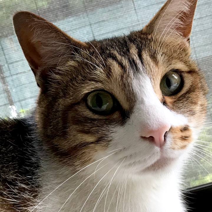 32a3347d 9bf0 4041 98ae 35b4493fc30a 1527662971983