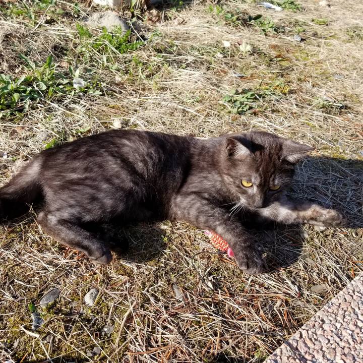 32a33511 21c2 47b8 b855 907df4d2e67c 1588738642163