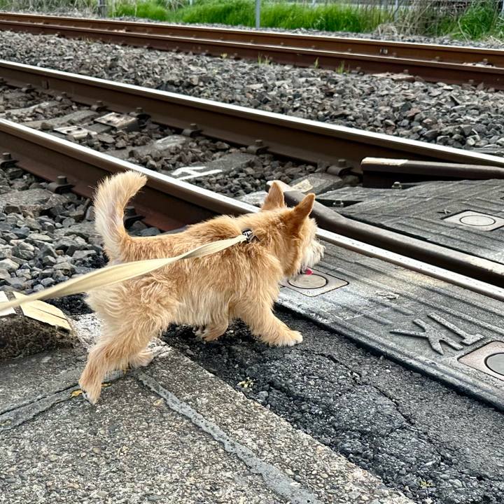 32a3362b dc5a 4e6b a7ea 71c0e37d673e 1713214402570