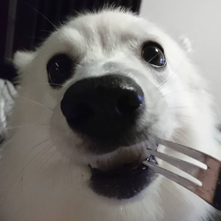 32a343a0 49a6 4751 bf88 57c7934c3188 1535892994362