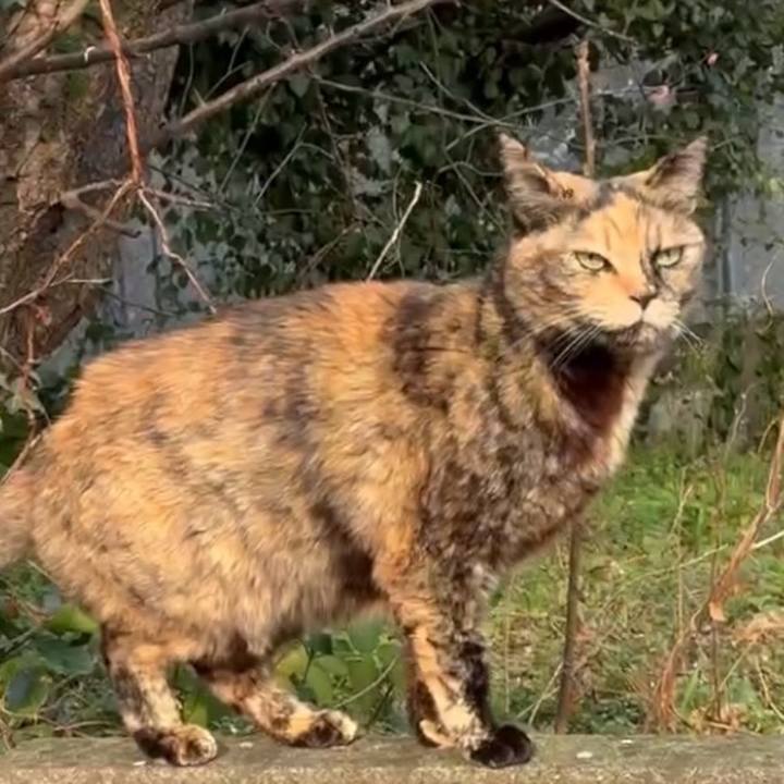 32a34441 016c 44ac b784 fa3ec55f843e 1771208617195