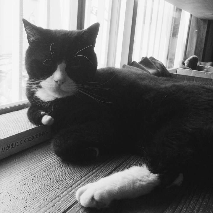 32a372b9 7a91 4631 85d5 17e4dccc4213 1589676933487