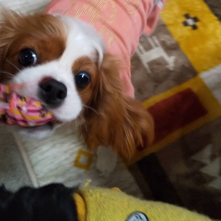 32a37bcd 9098 4ecd b26d daea99f79382 1579272677958