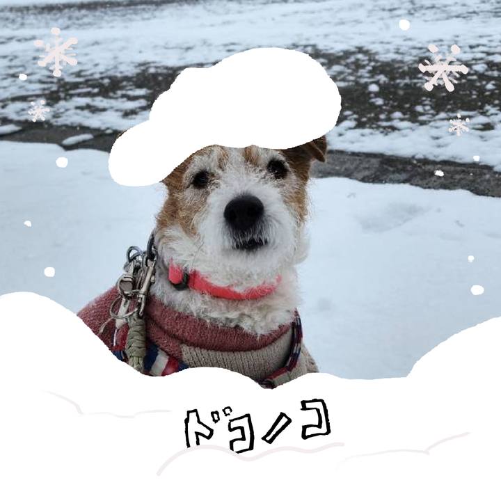 32a395b4 24f2 4cee 837c 04e3123c2af8 1771833860912