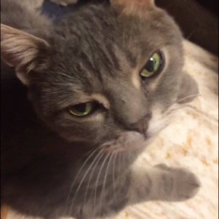 32a3a798 601f 4577 9e43 058518a02b7e 1512656571507