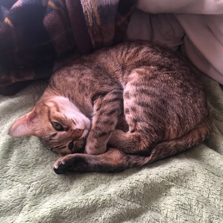 32a3ba27 1d64 4e41 9845 140cbed5858b 1645832825421