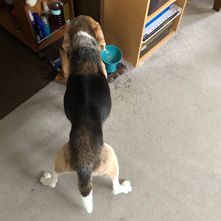 32a3eea0 e40d 43b5 9daf 507ad7ea8558 1582719201829