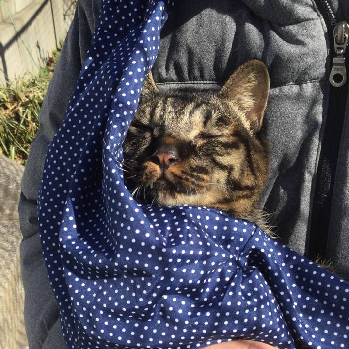 32a3fc7f 3ab0 494c 905d 58cc0c776752 1609472097975