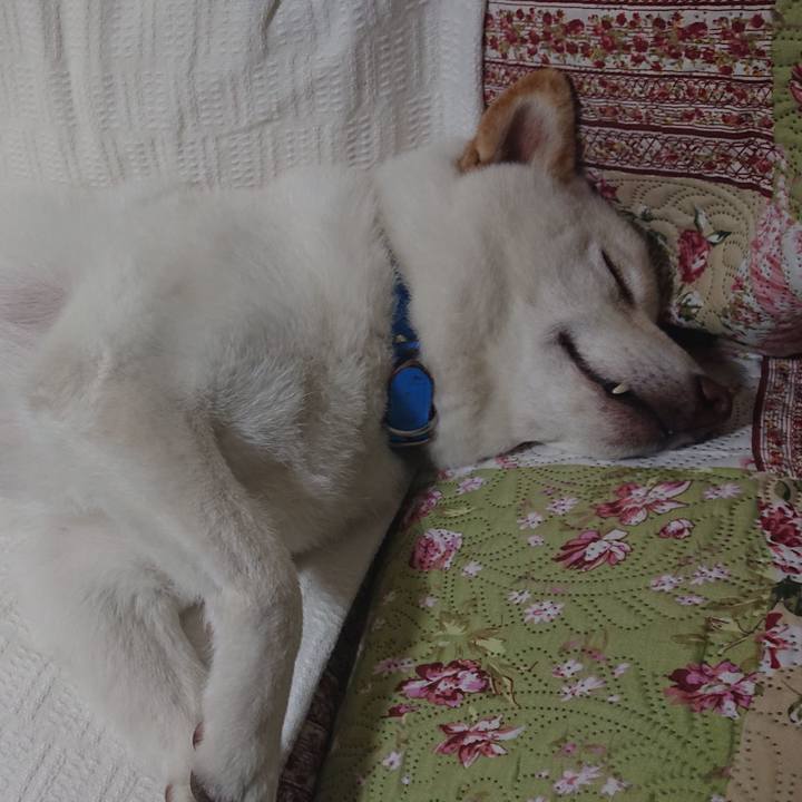 32a3ff3c 6e7a 4287 b68f 0acd002d1ed7 1586008252096