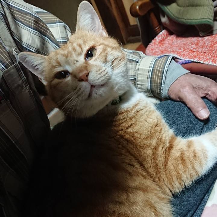 32a418c4 d3fe 461b 9d31 0e640ec0116b 1580291207818