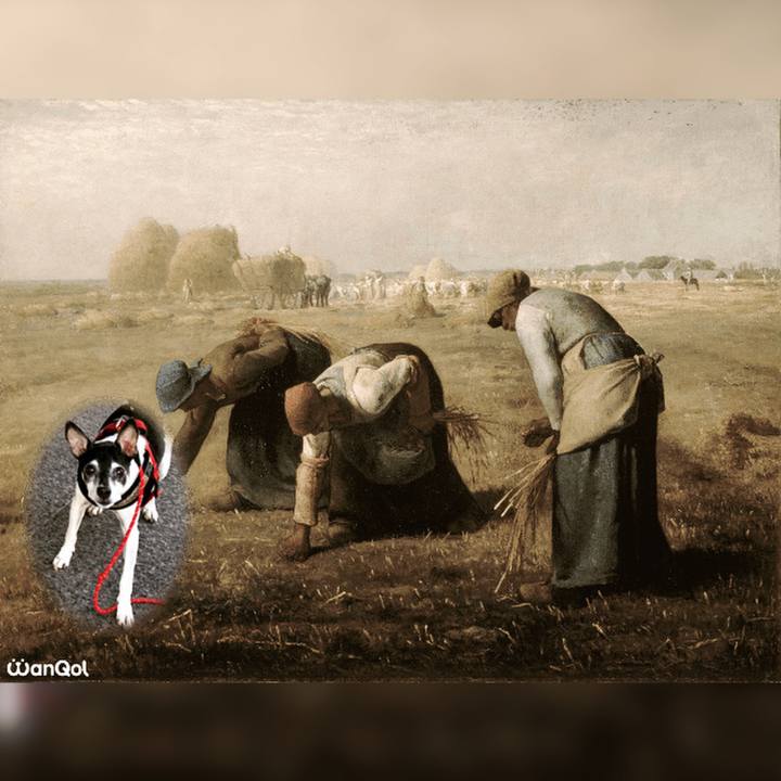 32a47776 353c 4255 91b8 164154fd0a44 1634733333036