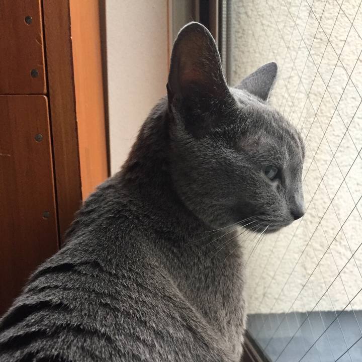 32a4bee4 a650 4e74 9915 7bc5688f2f09 1537399381838