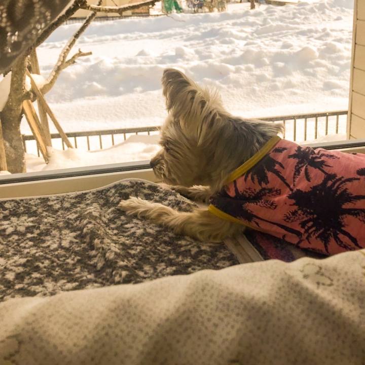 32a4e151 69bb 42f6 ac9d 2cd0b4bff887 1579253995688