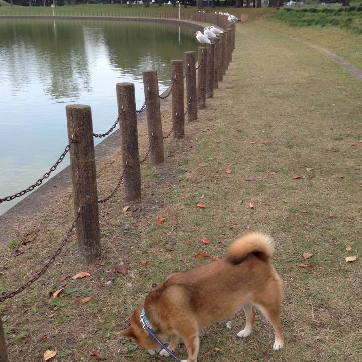 32a51c38 5184 4ab5 a202 5c1587f4176d 1542618893660