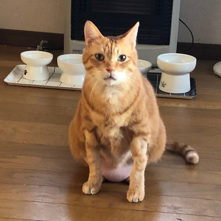 32a5b1b8 62c4 4fc1 9fe0 33e8e689c9b1 1662756669279