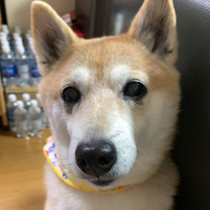 32a5cfcf 4c81 43af 9e72 210e48a622a0 1613050077052