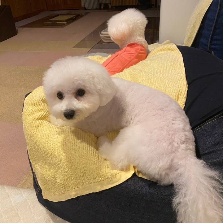 32a5d7ce 00b1 45ab a790 913c2da2f84a 1758530559165