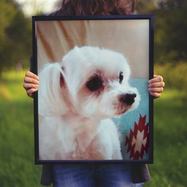 32a5eaef 65c7 44fd b1dc 909a11260626 1565471528219