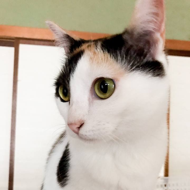 32a5ec57 58c4 4b74 a74e e563b61d3f19 1532048428565