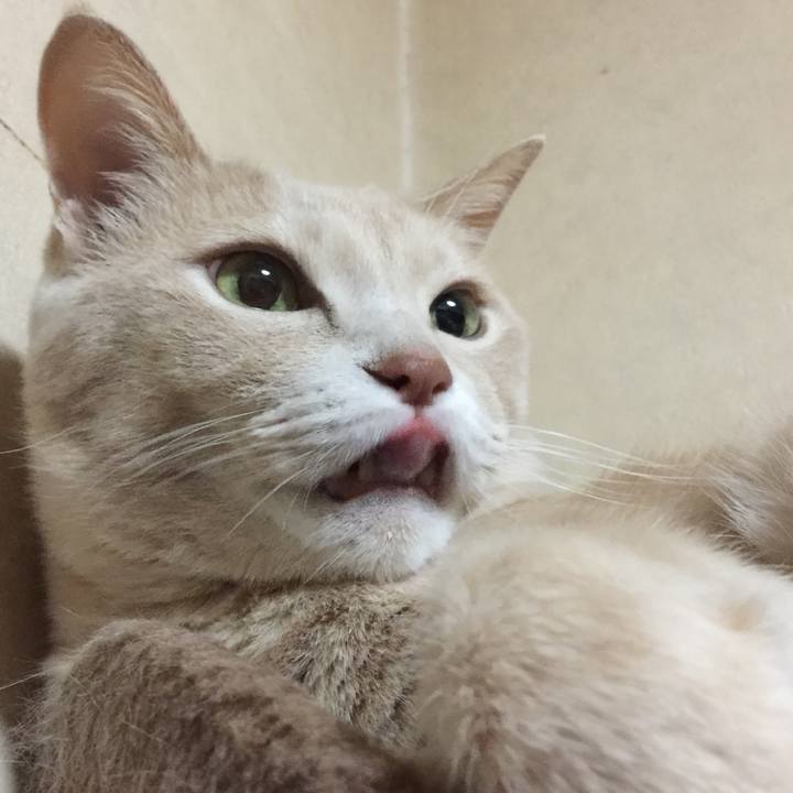 32a5f7f6 7316 4764 a5ca 63d9a4d56b96 1584964347128