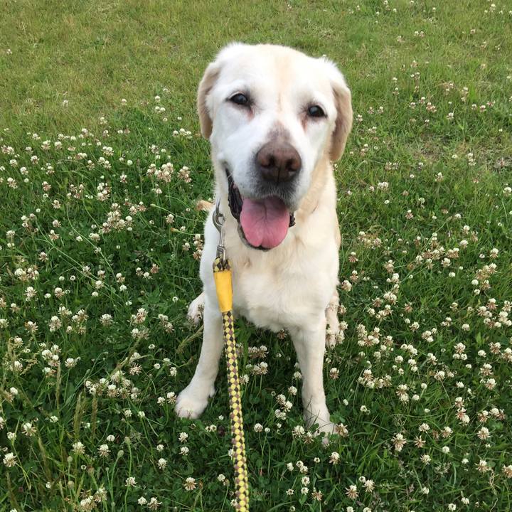 32a67cef 5e33 4af5 9903 625d9cac4f86 1527587079894