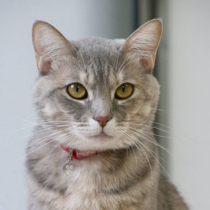 32a695db 453f 448f 887b abc8f696780a 1514689869317