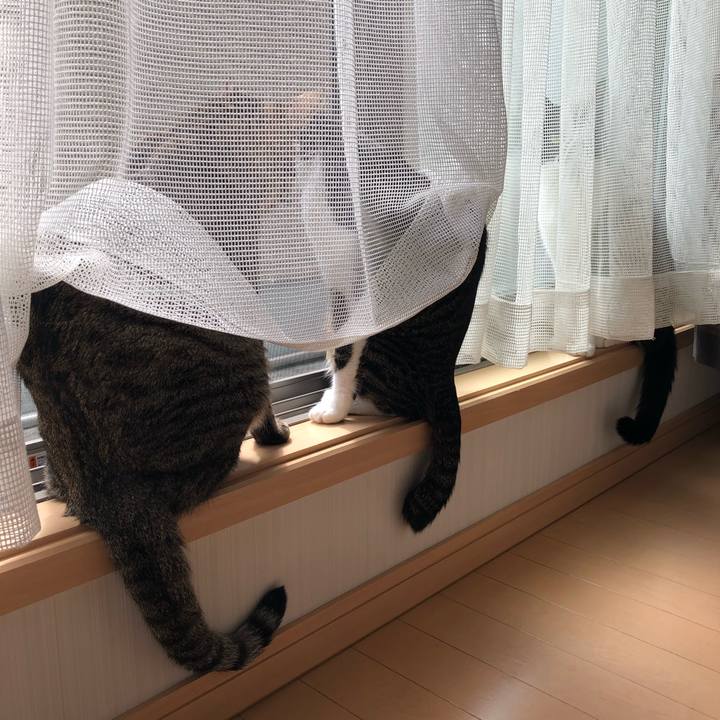 32a6989c ee2a 45ec 99de d7f246ce29ad 1553419238167