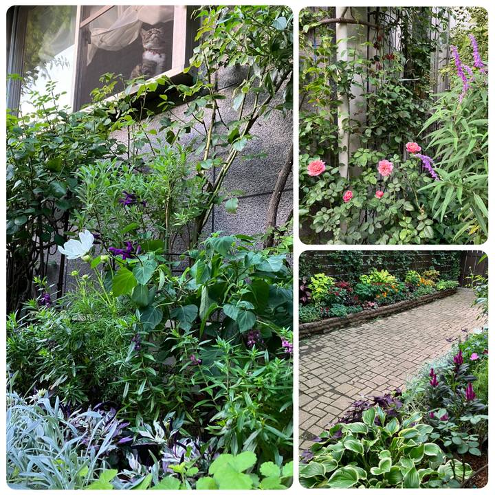 32a6cc18 a1e8 4763 bc6c ad2fb91b3756 1759395545249