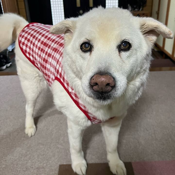 32a6d667 76e2 4c0e 880a a568ce4b211c 1765840823785